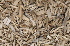 biomass boilers Ileden