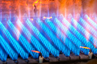 Ileden gas fired boilers