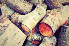 Ileden wood burning boiler costs